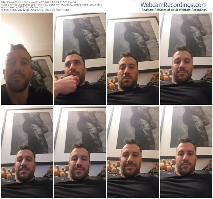 cam4-slice87-12-29-2025-21-55-12