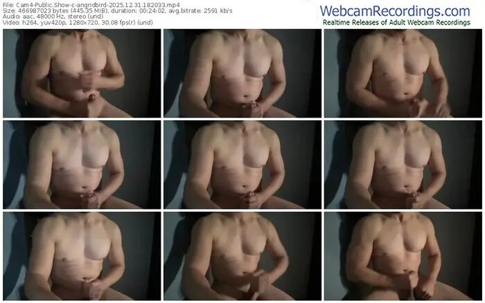 cam4-angridbird-12-31-2025-18-20-33