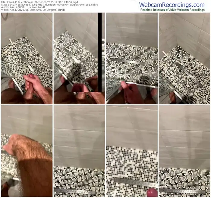 cam4-2bfriendz-12-31-2025-12-46-06