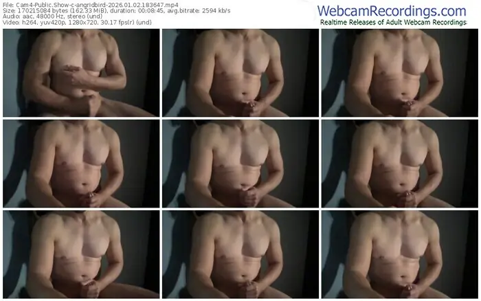 cam4-angridbird-01-02-2026-18-36-47