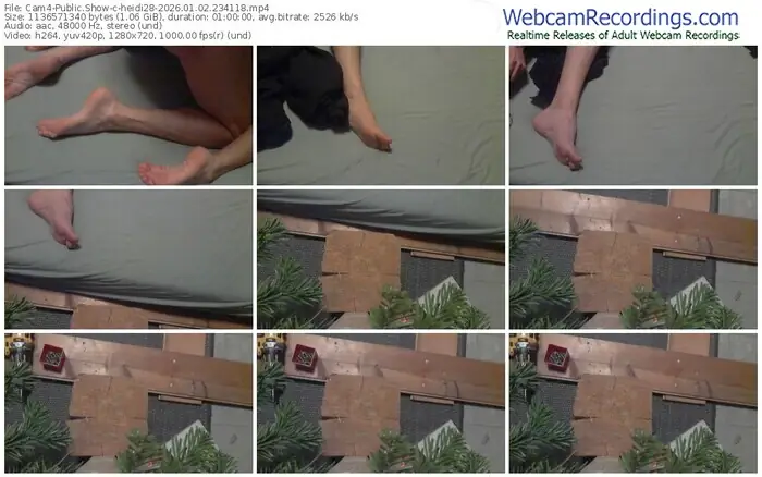 cam4-heidi28-01-02-2026-23-41-18