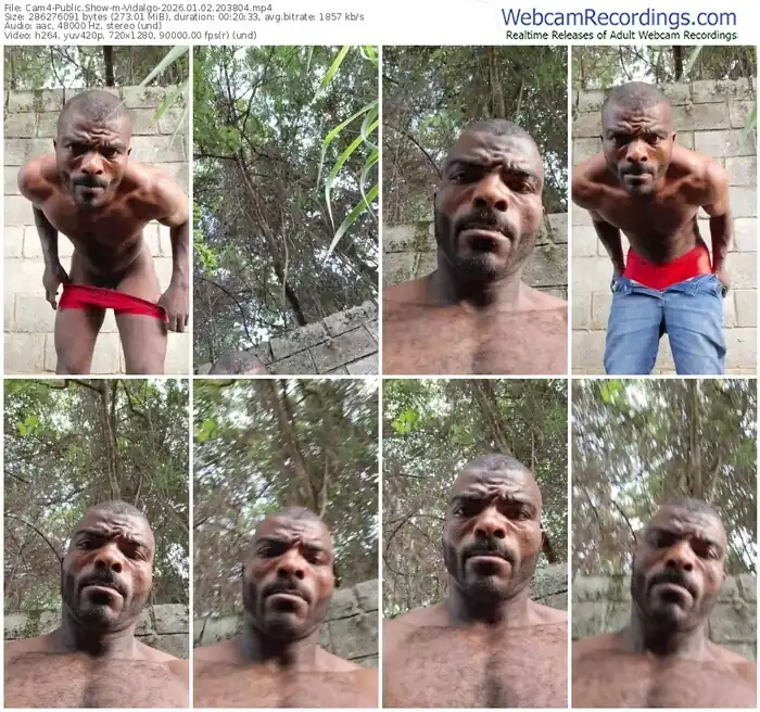 cam4-vidalgo-01-02-2026-20-38-04