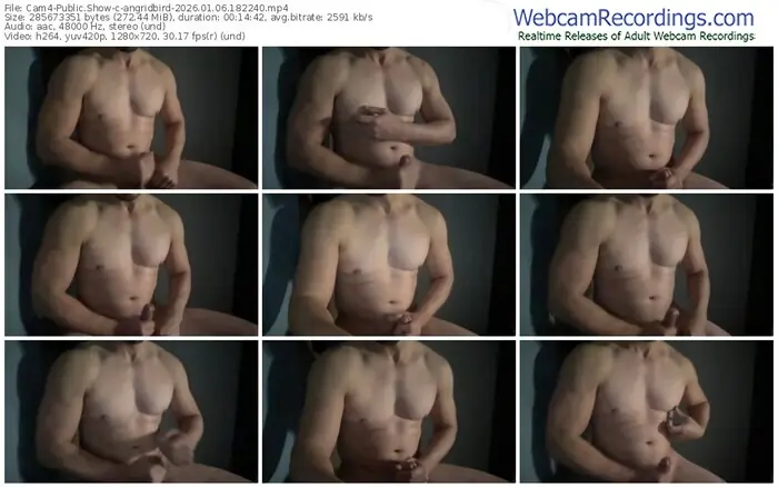 cam4-angridbird-01-06-2026-18-22-40