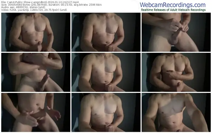 cam4-angridbird-01-10-2026-19-21-27