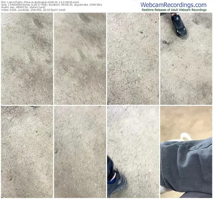 cam4-bullnapol-01-13-2026-12-49-35