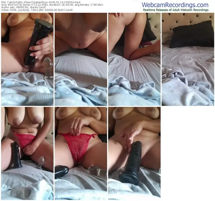 cam4-gataonlyxx-01-14-2026-10-50-02