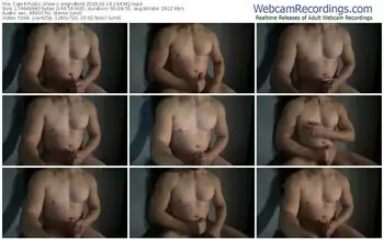 cam4-angridbird-01-16-2026-16-43-42