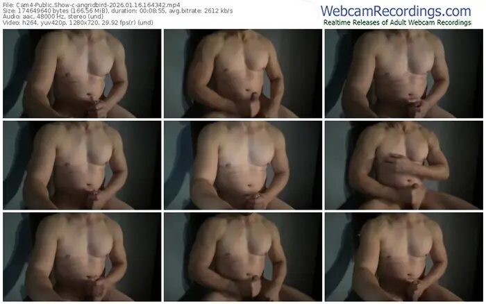 cam4-angridbird-01-16-2026-16-43-42