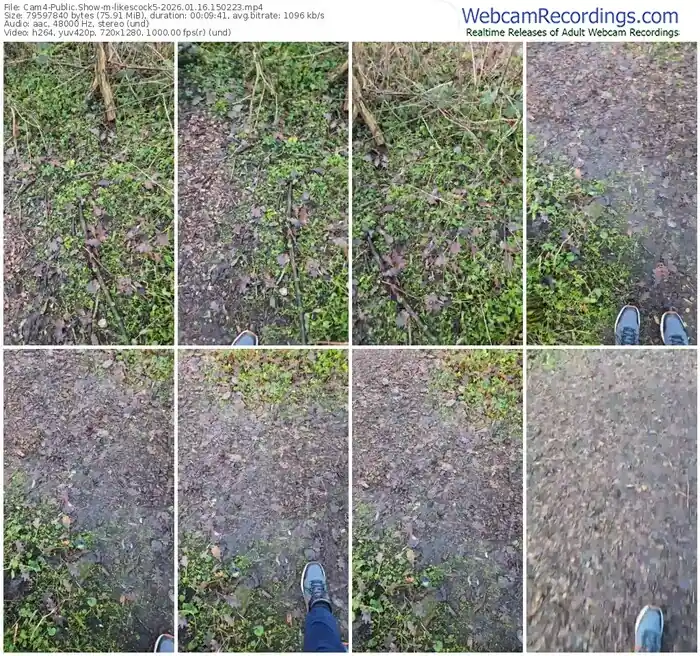 cam4-likescock5-01-16-2026-15-02-23