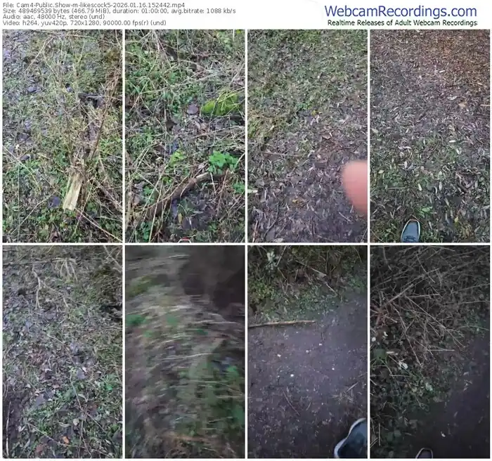 cam4-likescock5-01-16-2026-15-24-42