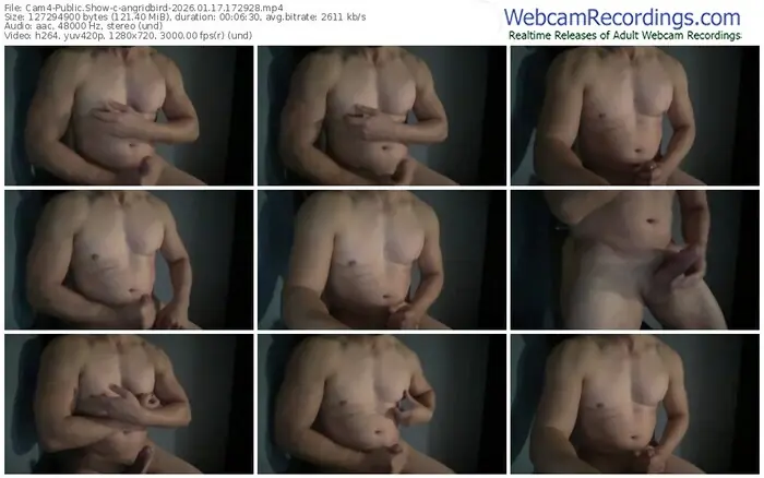 cam4-angridbird-01-17-2026-17-29-28