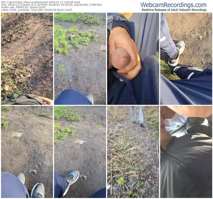 cam4-likescock5-01-17-2026-13-31-46