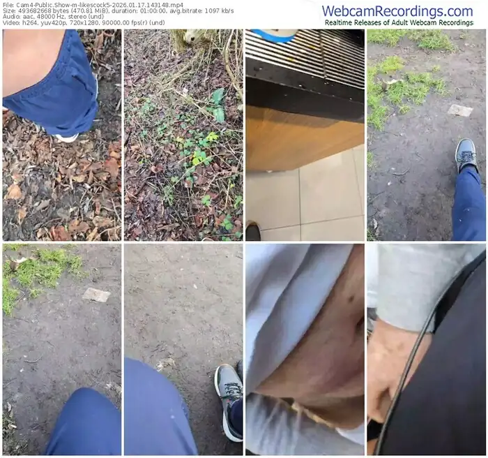 cam4-likescock5-01-17-2026-14-31-48