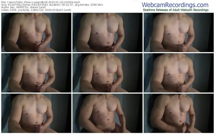 cam4-angridbird-01-18-2026-16-39-34
