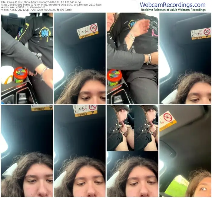 cam4-panterona02-01-18-2026-12-00-40