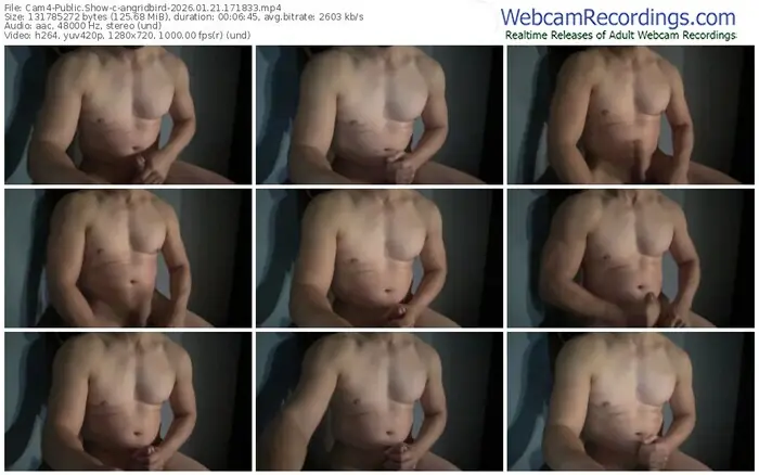 cam4-angridbird-01-21-2026-17-18-33