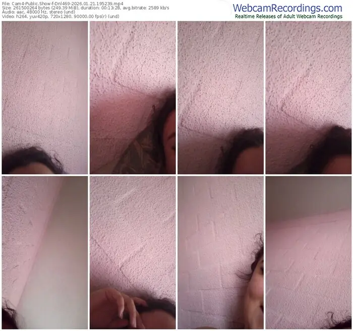 cam4-dnl469-01-21-2026-19-52-39