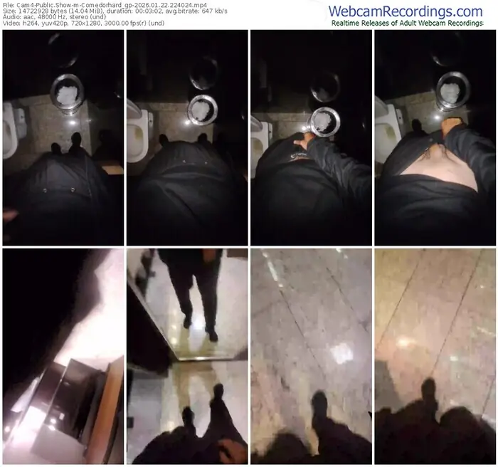 cam4-comedorhard_gp-01-22-2026-22-40-24