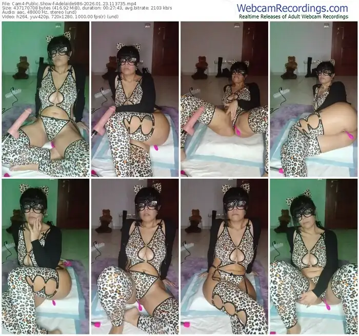 cam4-adelaide986-01-23-2026-11-37-35