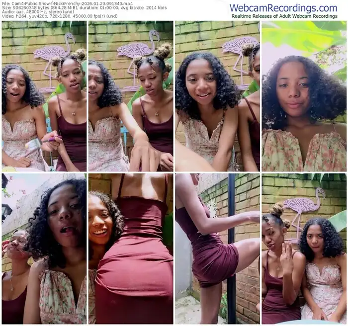 cam4-nickifrenchy-01-23-2026-09-13-43