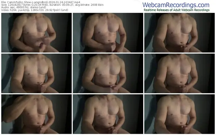 cam4-angridbird-01-24-2026-16-34-47