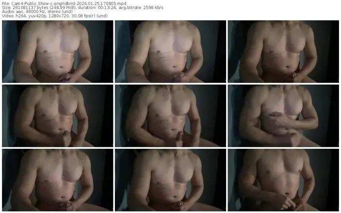 cam4-angridbird-01-25-2026-17-08-05