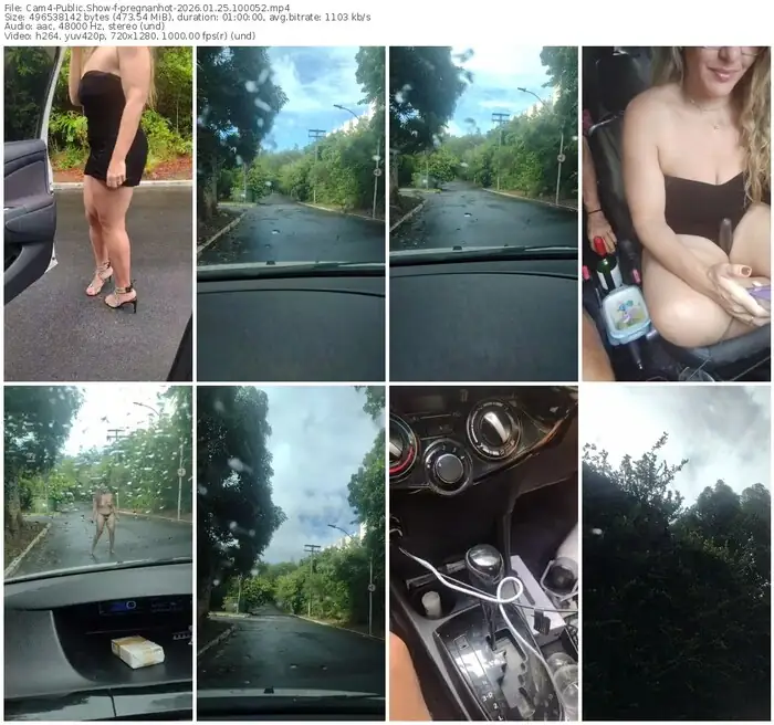 cam4-pregnanhot-01-25-2026-10-00-52