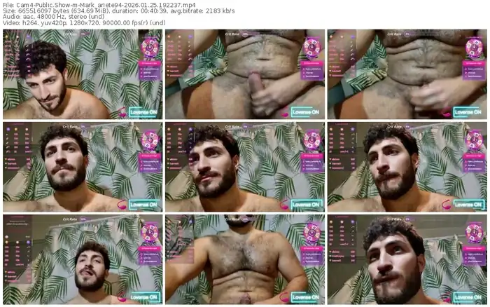 cam4-mark_ariete94-01-25-2026-19-22-37