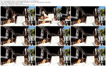 cam4-lionscage-01-27-2026-11-15-08