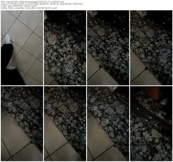 cam4-bullnapol-01-27-2026-15-40-49