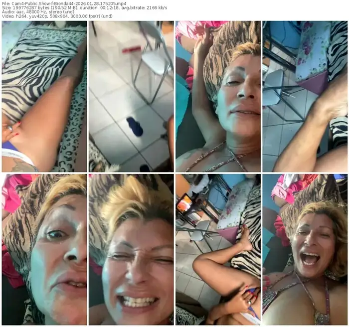 cam4-bionda44-01-28-2026-17-52-05