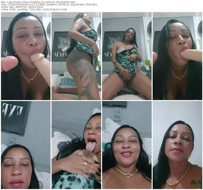 cam4-padilha_03-01-28-2026-02-28-52