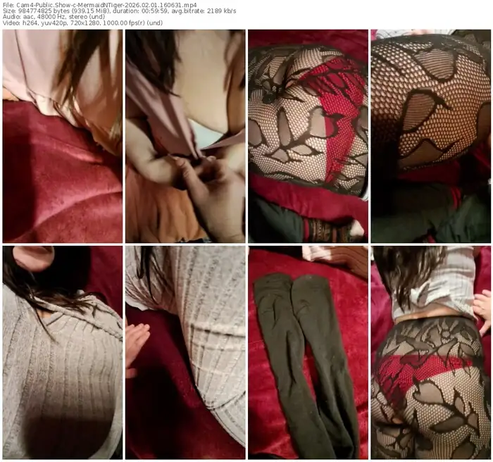 cam4-mermaidntiger-02-01-2026-16-06-31