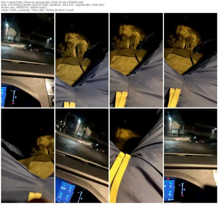 cam4-alessand21-02-03-2026-23-56-09