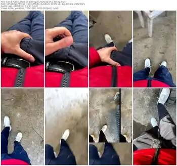 cam4-bullnapol-02-05-2026-14-34-32