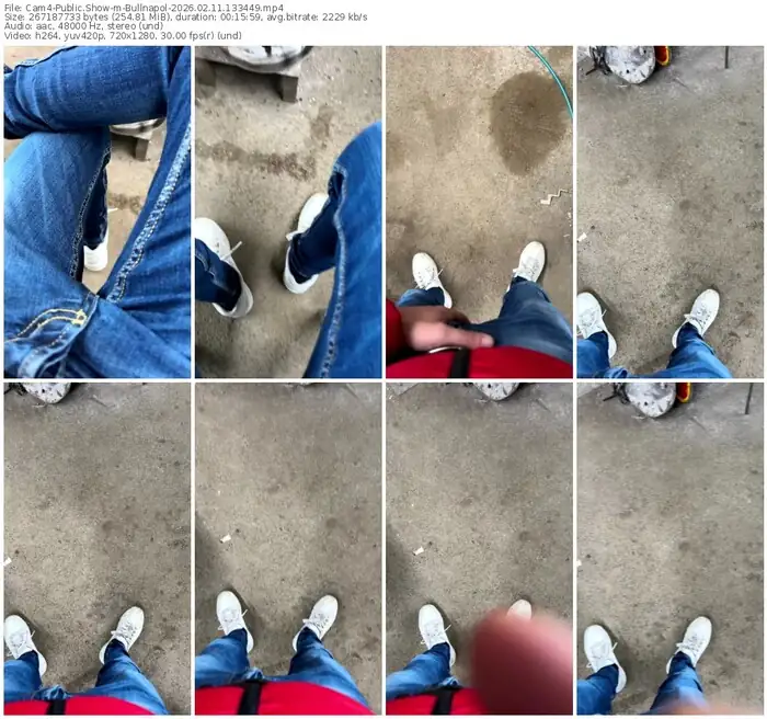 cam4-bullnapol-02-11-2026-13-34-49