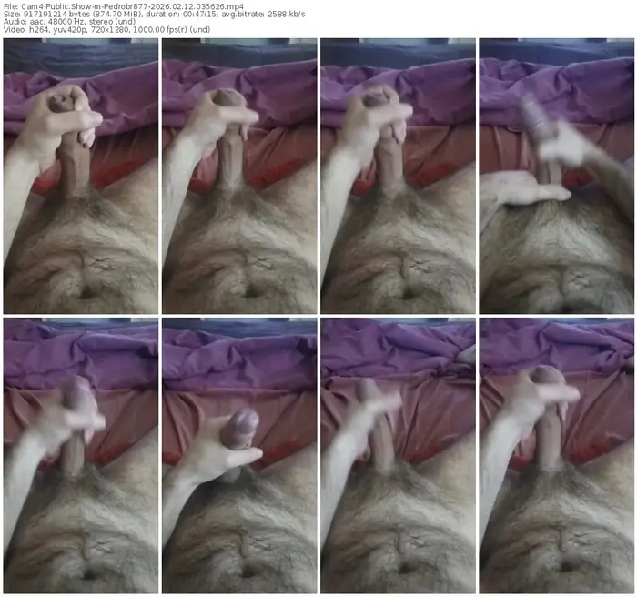 cam4-pedrobr877-02-12-2026-03-56-26