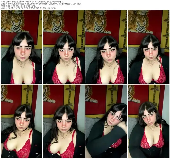 cam4-ugly_shinii-02-14-2026-13-03-40