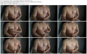 cam4-angridbird-02-15-2026-16-19-42