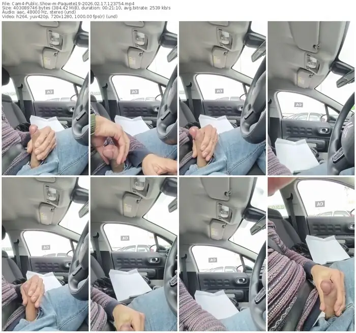 cam4-paquete19-02-17-2026-12-37-54