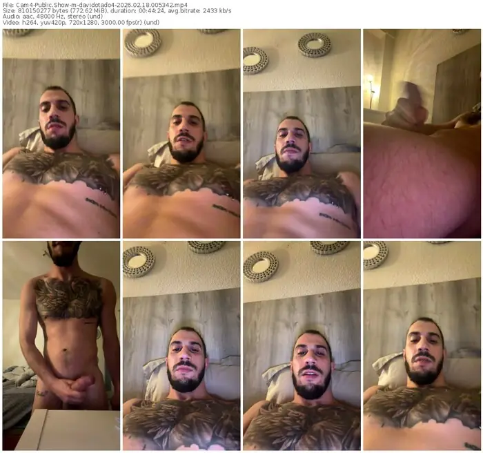 cam4-davidotado4-02-18-2026-00-53-42