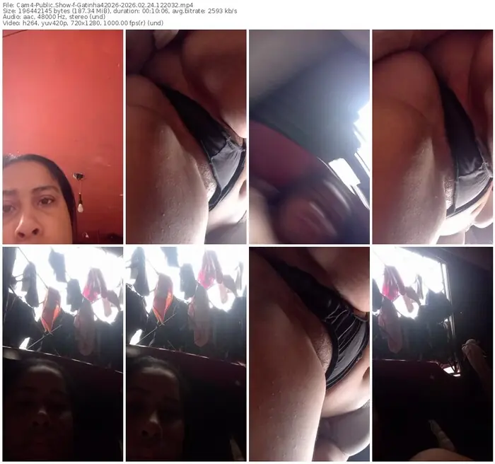 cam4-gatinha42026-02-24-2026-12-20-32