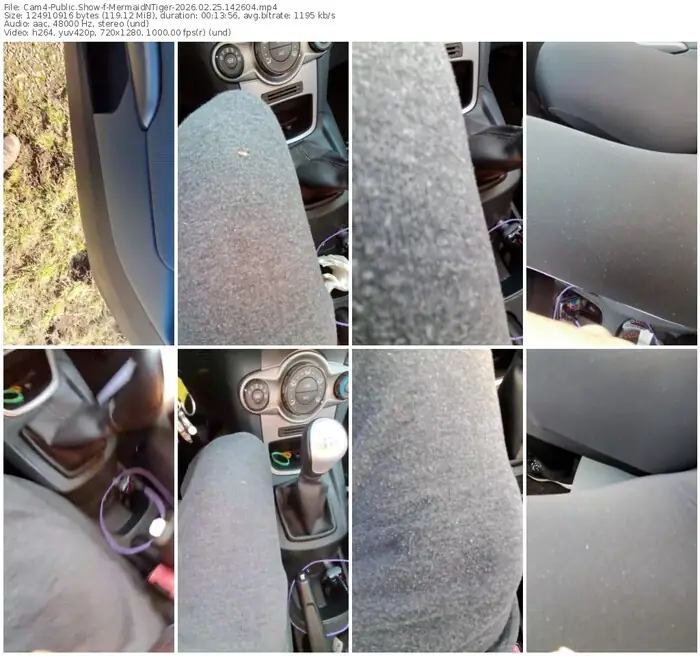 cam4-mermaidntiger-02-25-2026-14-26-04