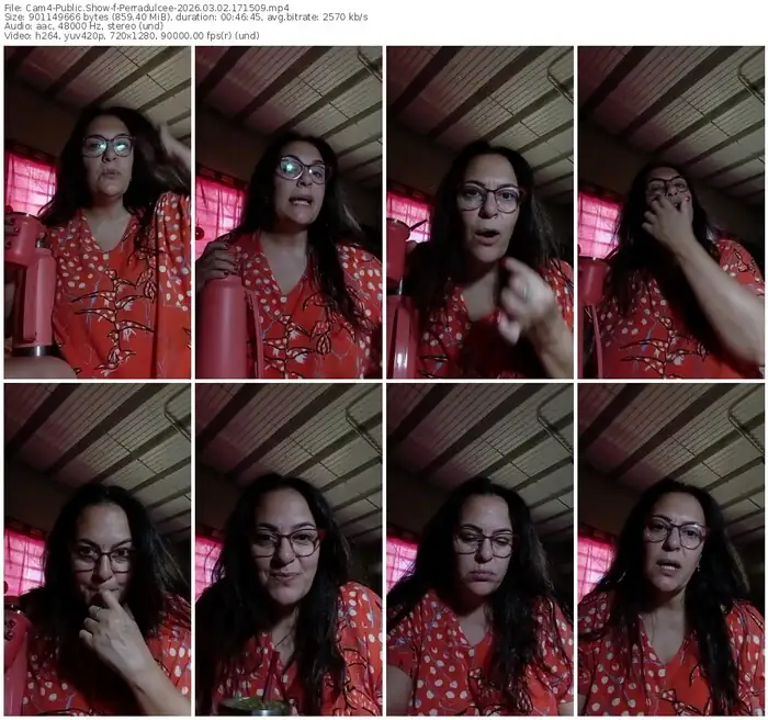 cam4-perradulcee-03-02-2026-17-15-09