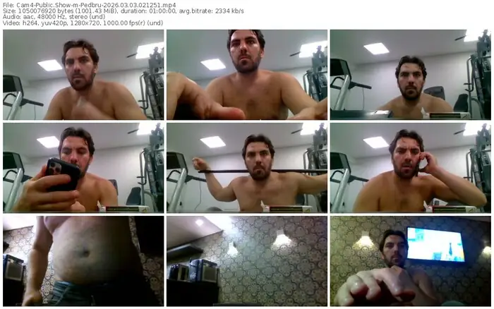 cam4-pedbru-03-03-2026-02-12-51