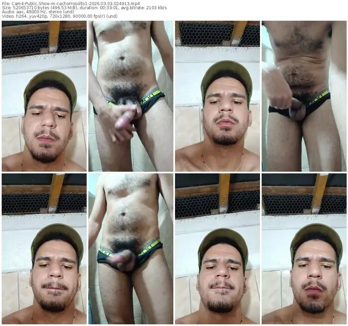 cam4-cachorrosolto1-03-03-2026-02-49-13