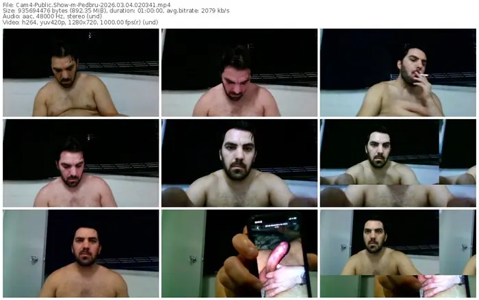 cam4-pedbru-03-04-2026-02-03-41