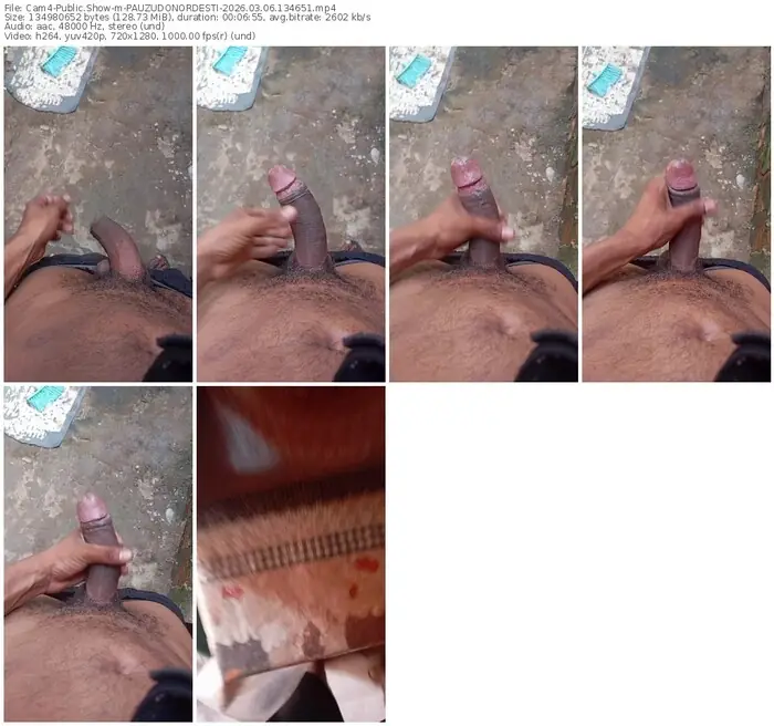 cam4-pauzudonordesti-03-06-2026-13-46-51