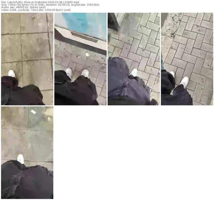 cam4-frabroker-03-08-2026-11-58-42