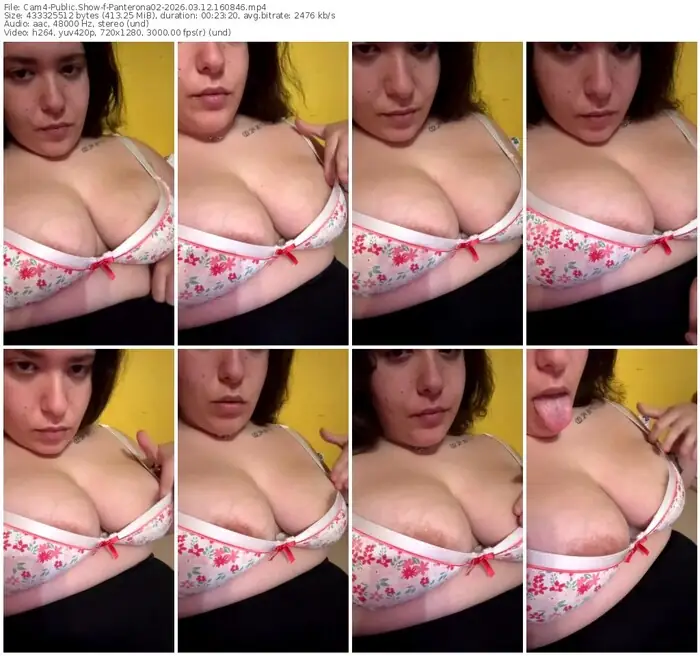 cam4-panterona02-03-12-2026-16-08-46